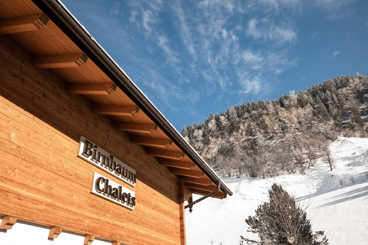 Birnbaum Chalets غروسارل المظهر الخارجي الصورة