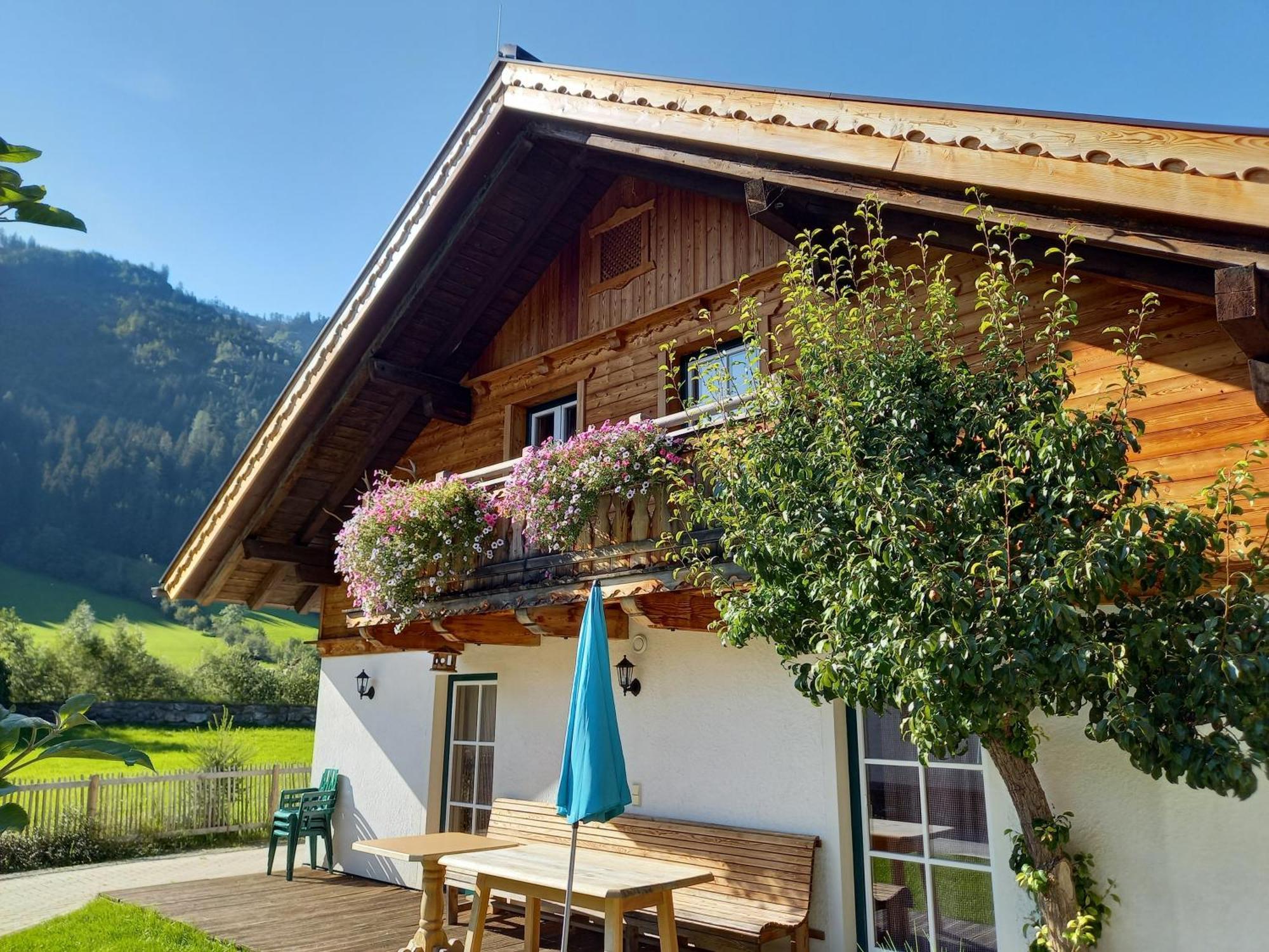 Birnbaum Chalets غروسارل المظهر الخارجي الصورة
